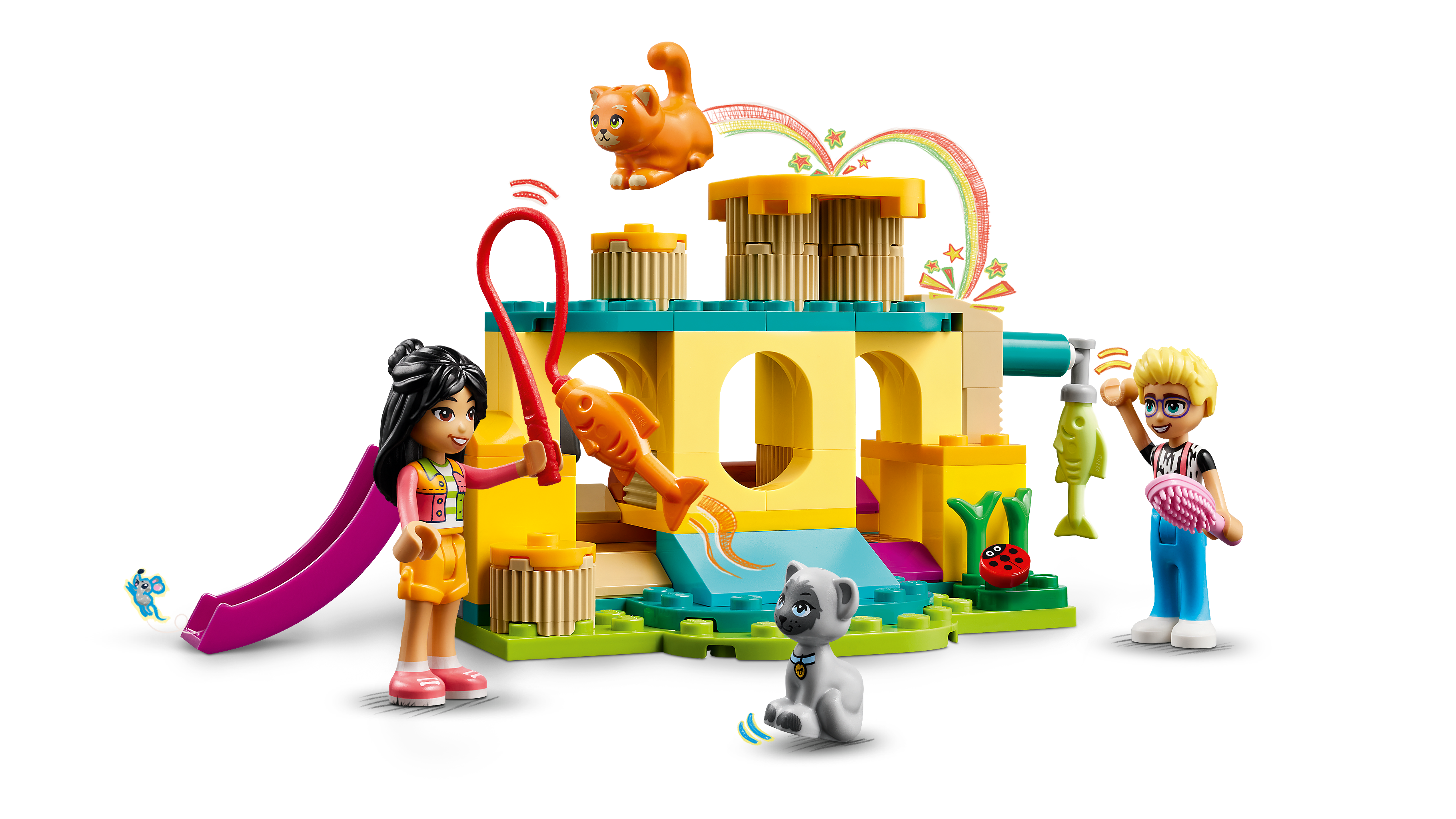 Abenteuer auf dem Katzenspielplatz