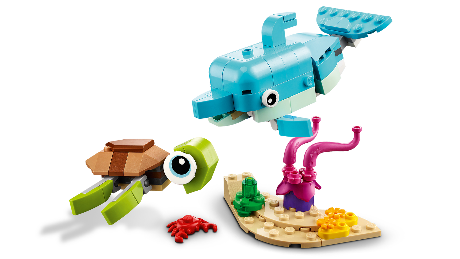 Delfin und Schildkröte